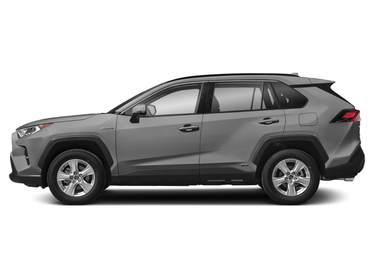 2020 Toyota RAV4 Vehicle Photo in Clearwater, FL 33761