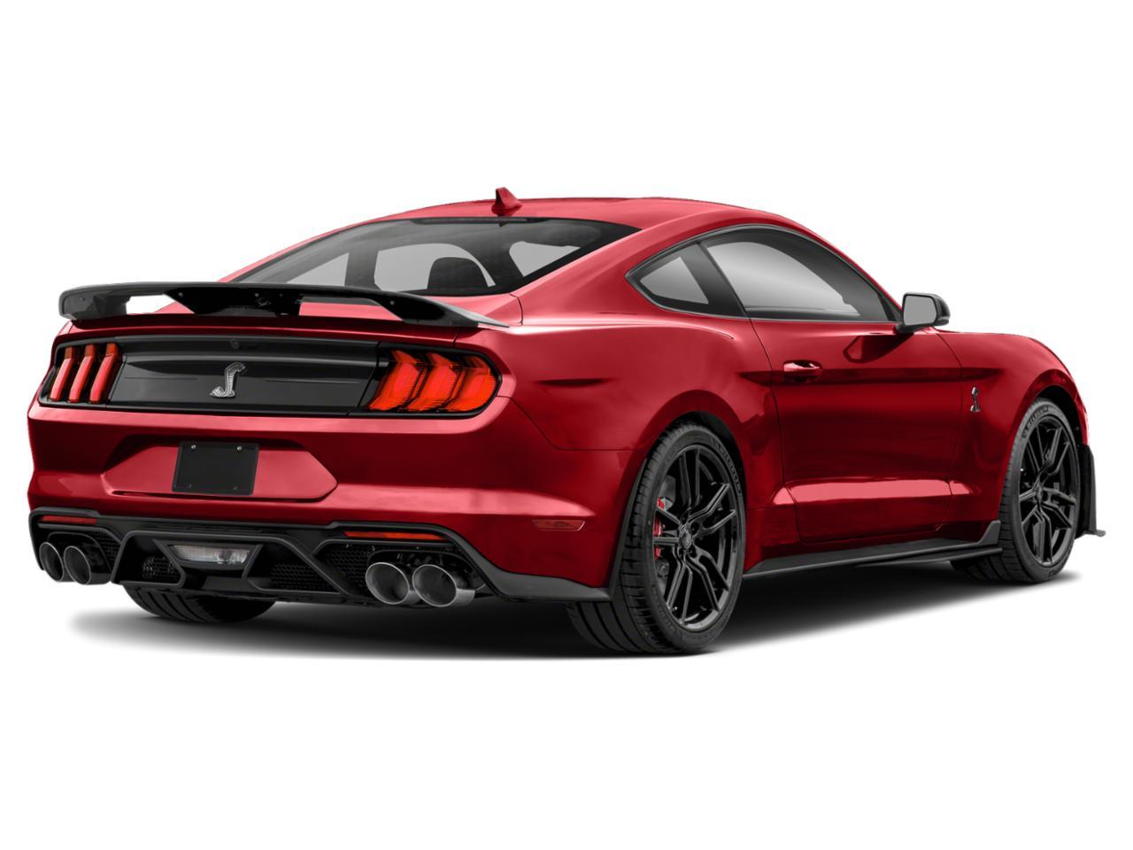 2021 Ford Mustang Vehicle Photo in Tampa, FL 33612