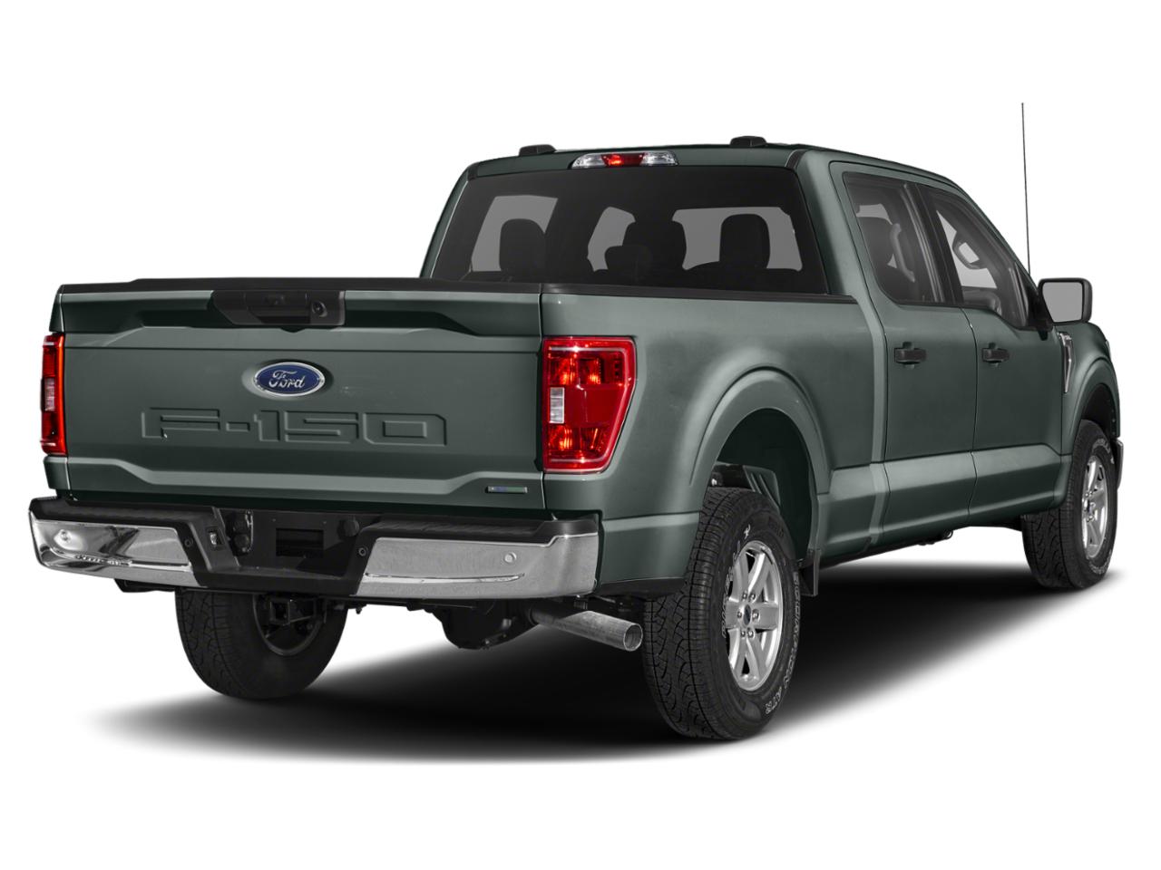 2021 Ford F-150 Vehicle Photo in Tampa, FL 33614