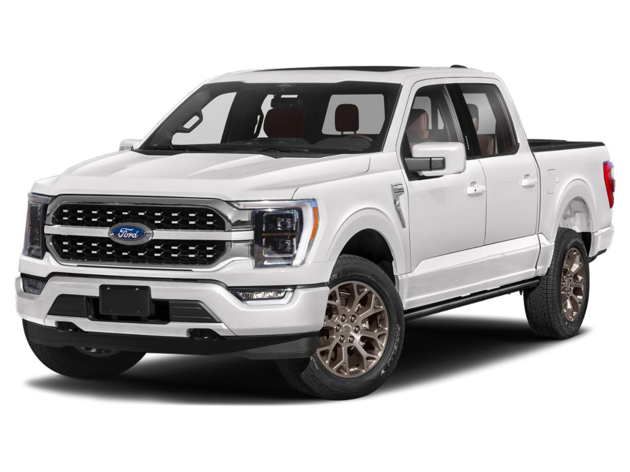 2021 Ford F-150 Vehicle Photo in HOUSTON, TX 77079