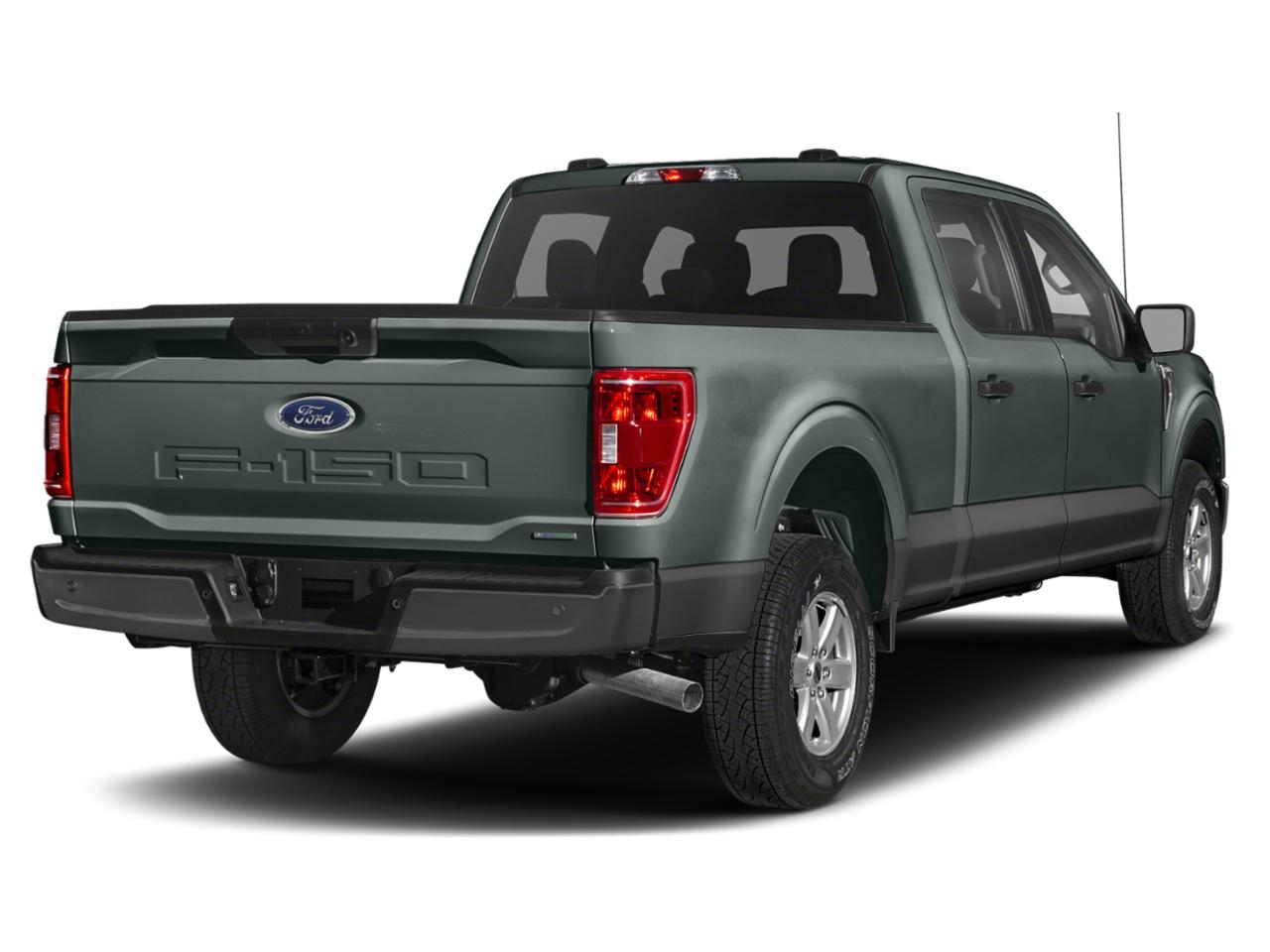 2021 Ford F-150 Vehicle Photo in Tampa, FL 33614