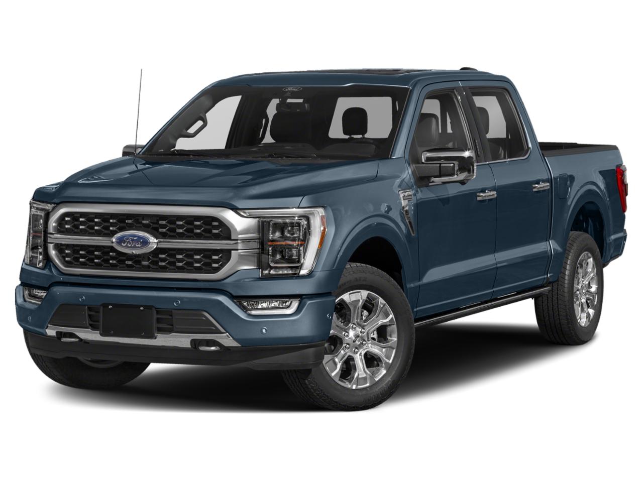 2021 Ford F-150 Vehicle Photo in Jacksonville, FL 32256