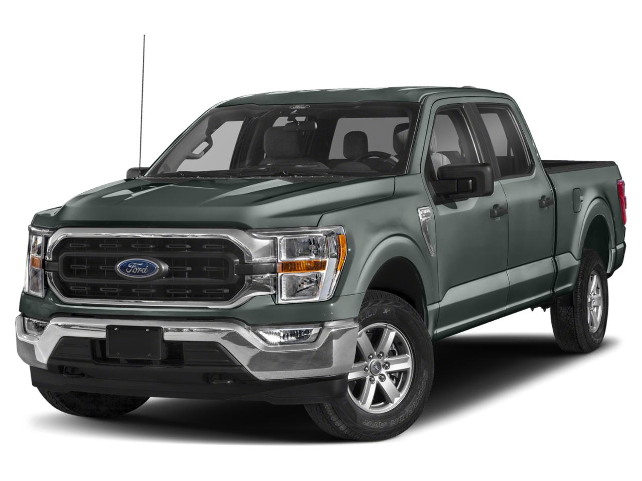2021 Ford F-150 Vehicle Photo in Tampa, FL 33614