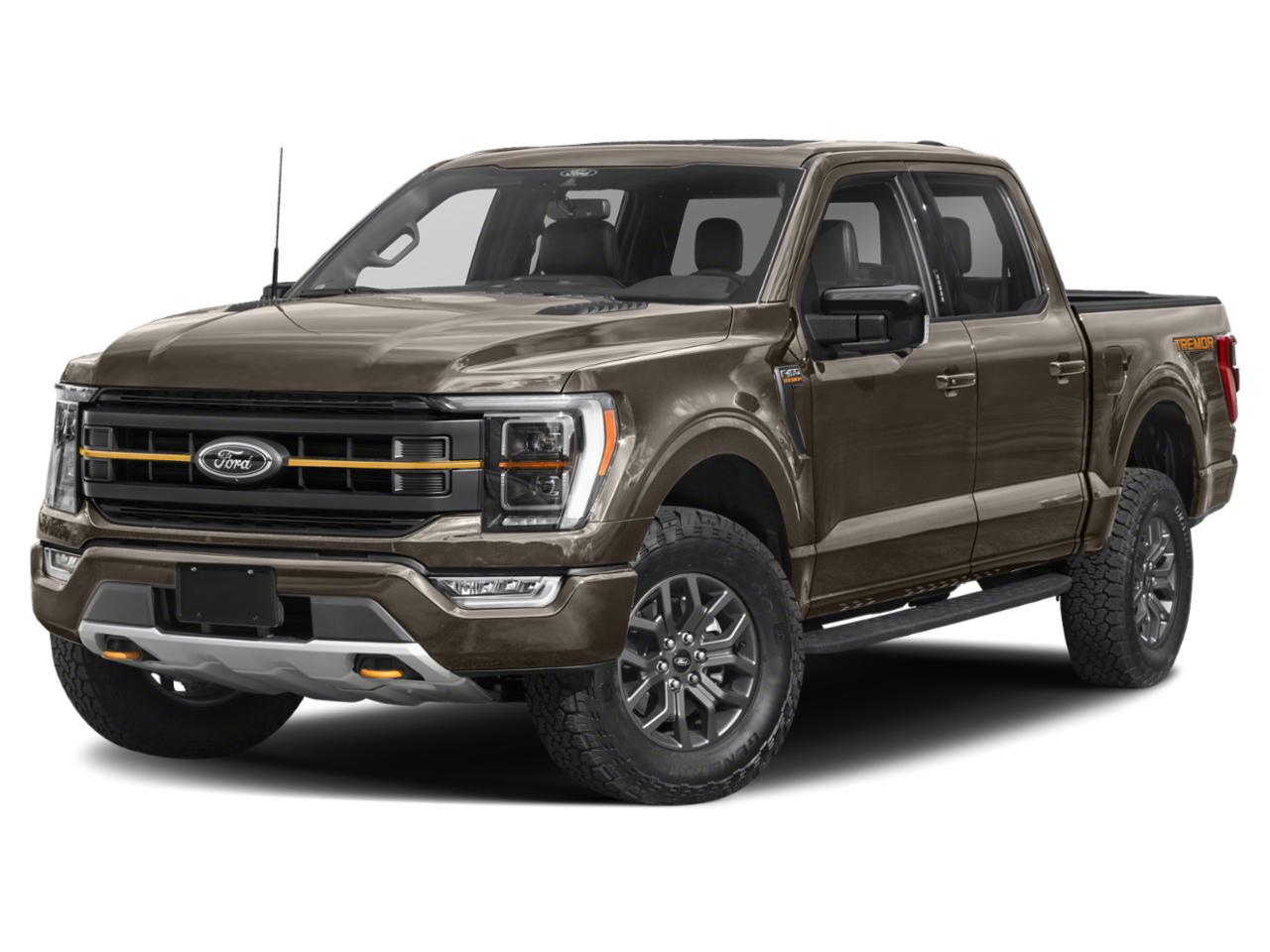 2021 Ford F-150 Vehicle Photo in Saint Charles, IL 60174