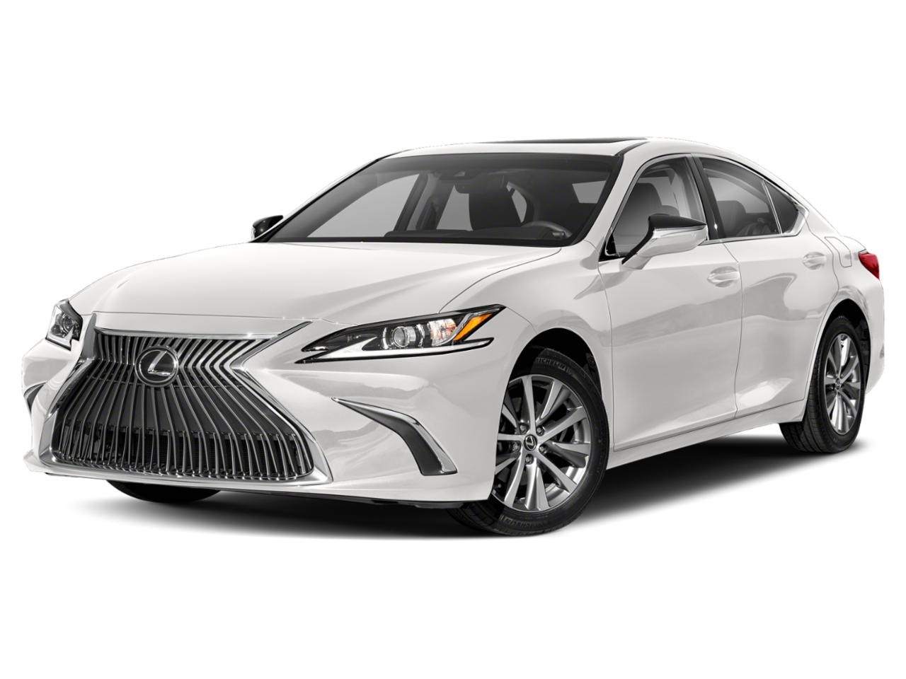 2021 Lexus ES 250 Vehicle Photo in West Palm Beach, FL 33417