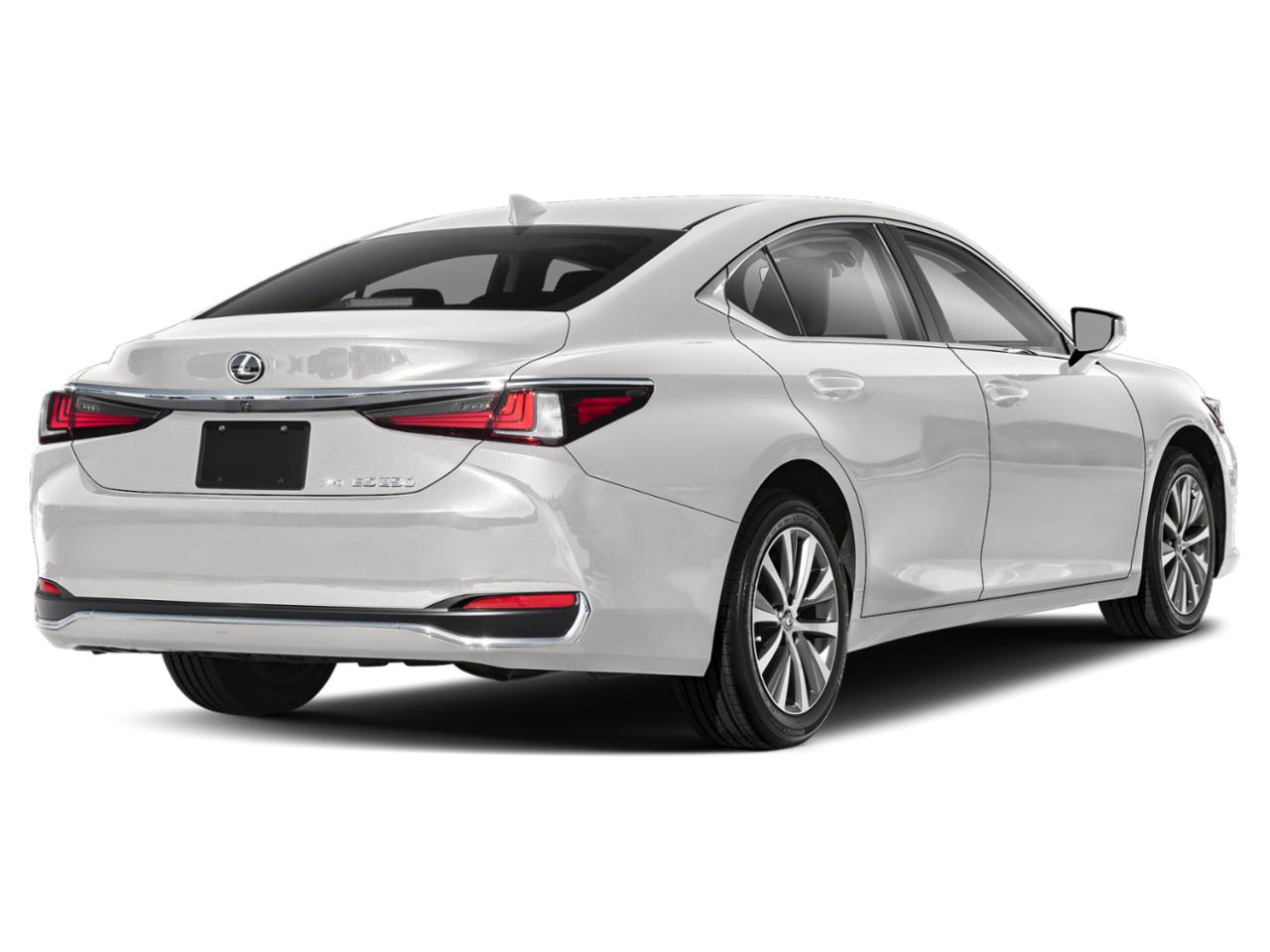 2021 Lexus ES 250 Vehicle Photo in Tampa, FL 33614