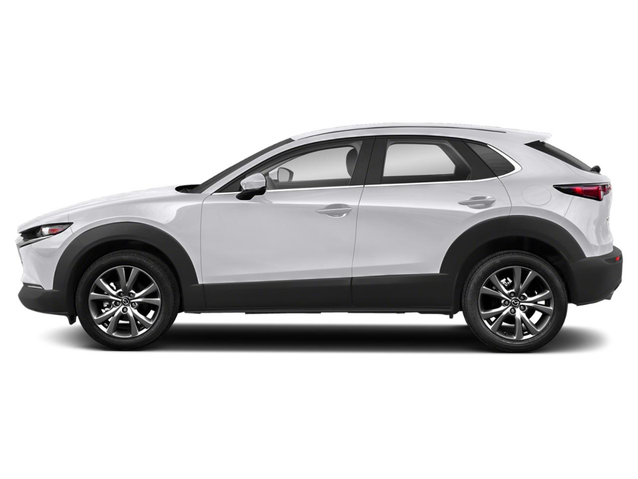 2021 Mazda CX-30 Vehicle Photo in St. Petersburg, FL 33713