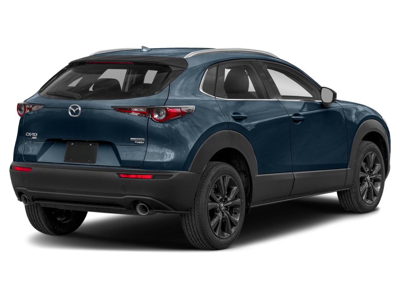 2021 Mazda CX-30 Vehicle Photo in Green Bay, WI 54304