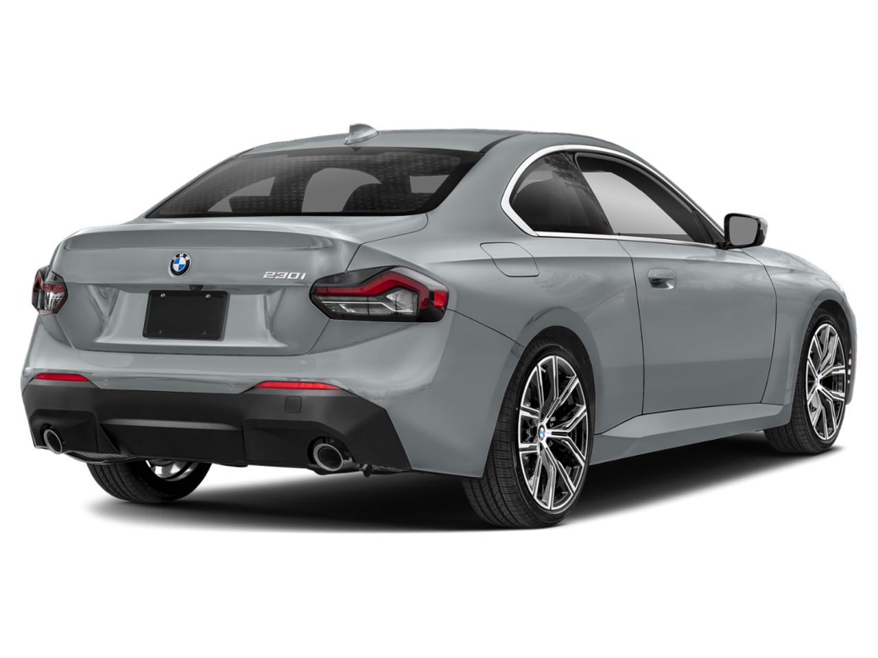 2022 BMW 230i Vehicle Photo in Delray Beach, FL 33444