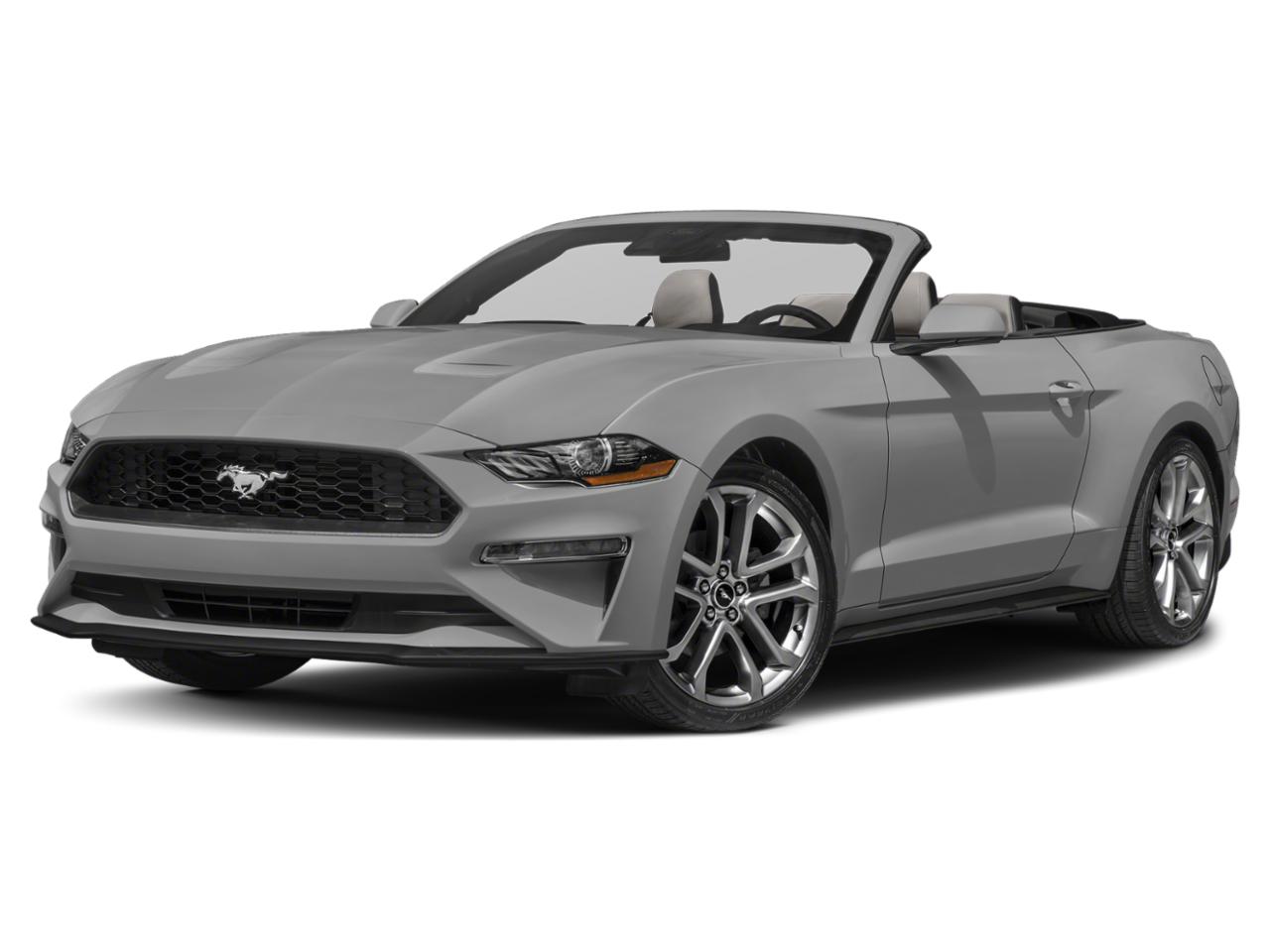 2022 Ford Mustang Vehicle Photo in Margate, FL 33063