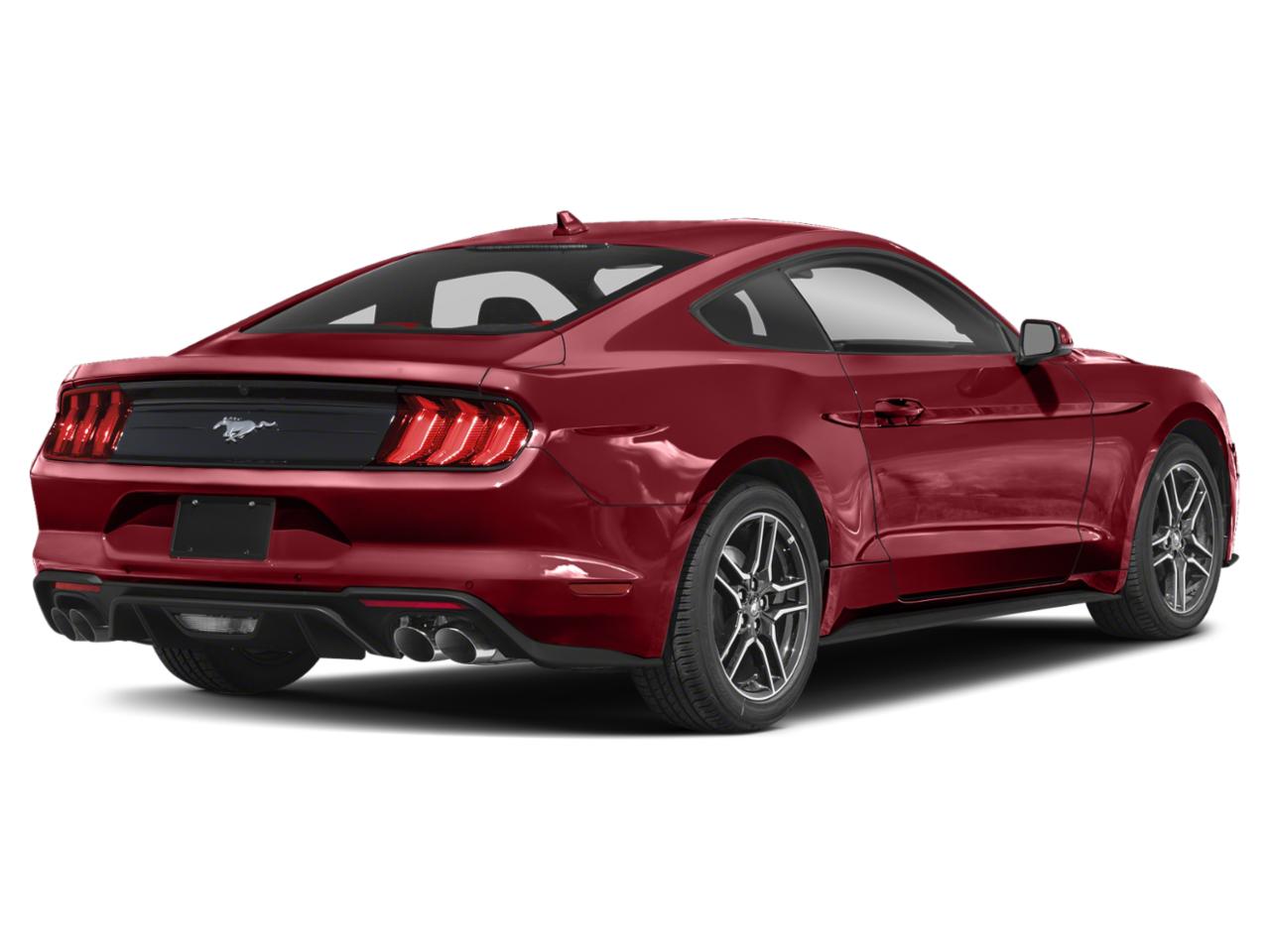 2022 Ford Mustang Vehicle Photo in Neenah, WI 54956