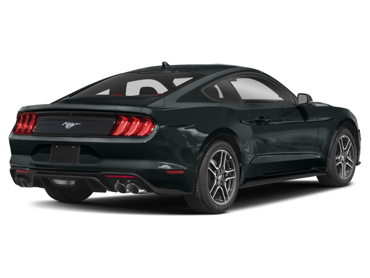 2022 Ford Mustang Vehicle Photo in Margate, FL 33063