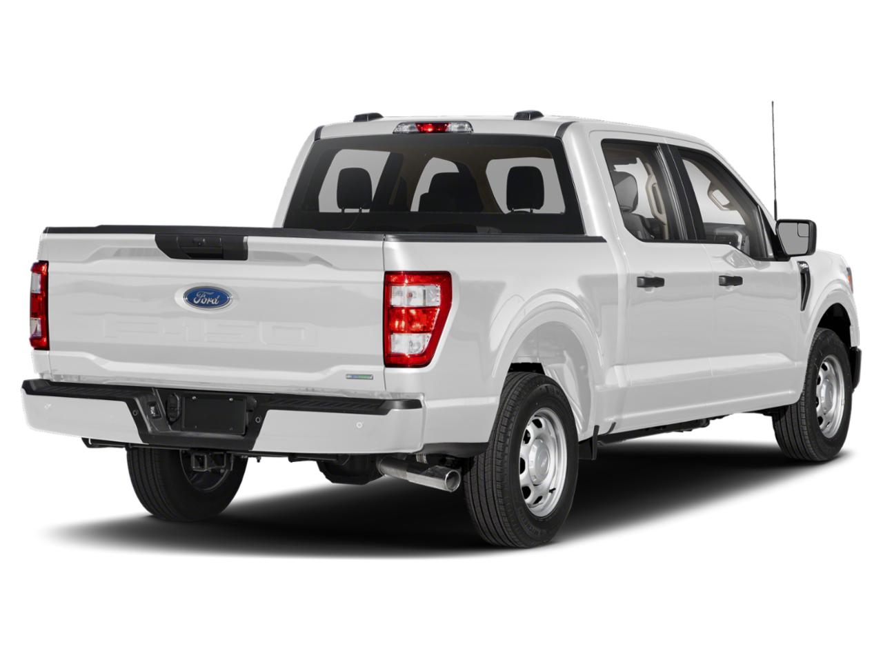 2022 Ford F-150 Vehicle Photo in Panama City, FL 32401