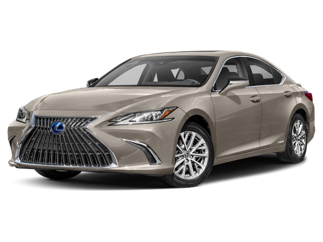 2022 Lexus ES 300h Vehicle Photo in Tampa, FL 33614