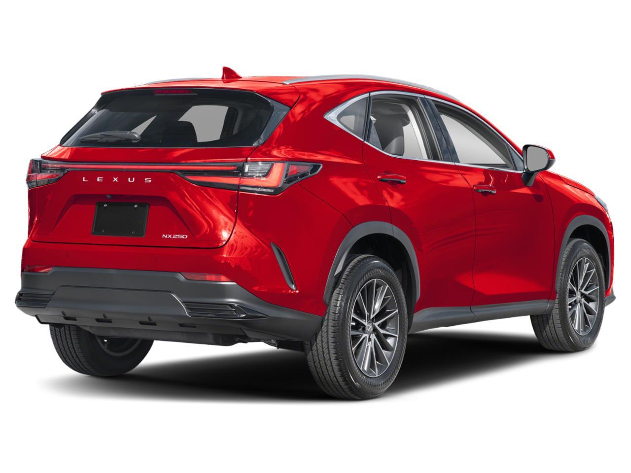 2022 Lexus NX 250 Vehicle Photo in Clearwater, FL 33761