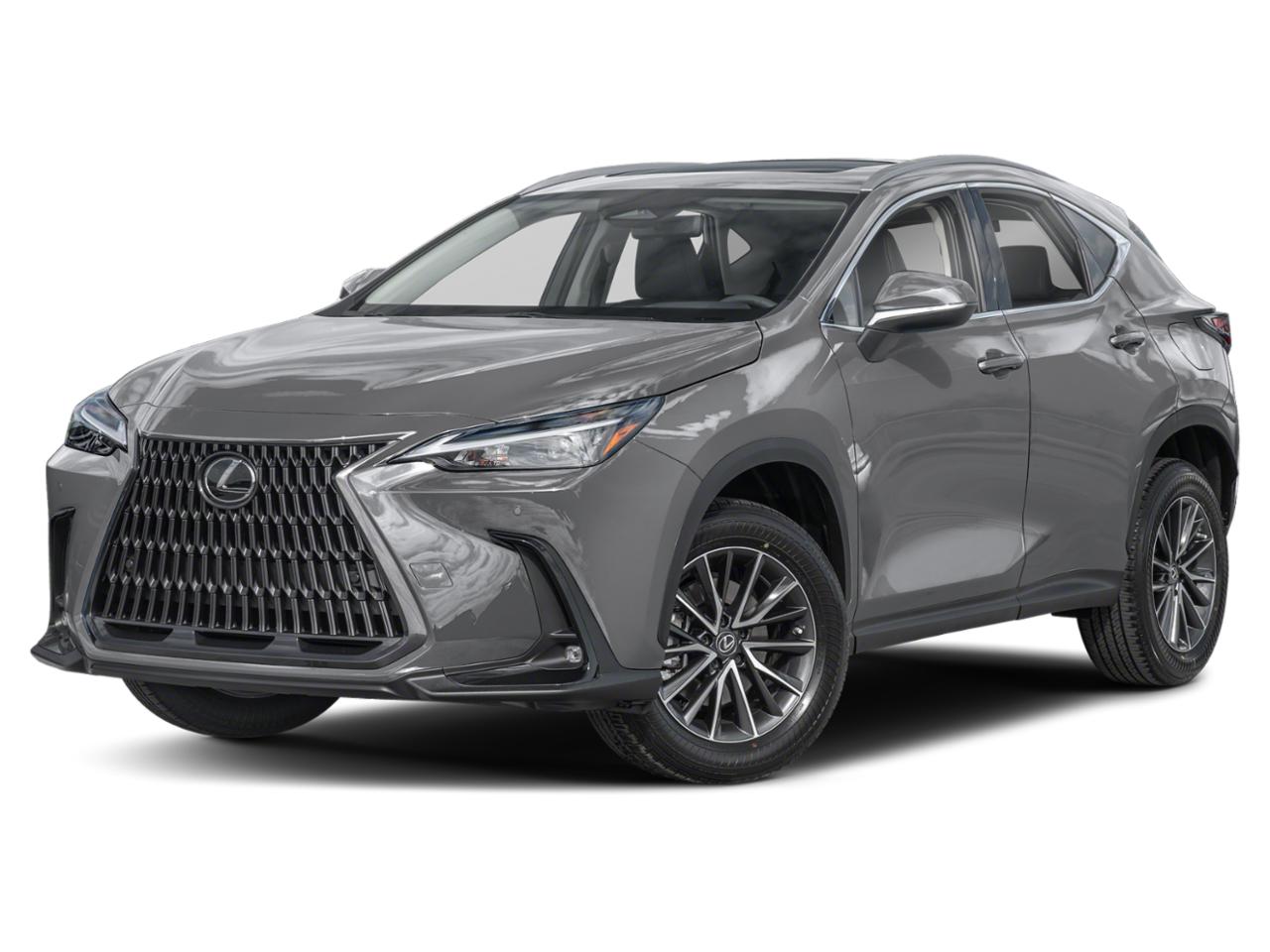 2022 Lexus NX 250 Vehicle Photo in Clearwater, FL 33761