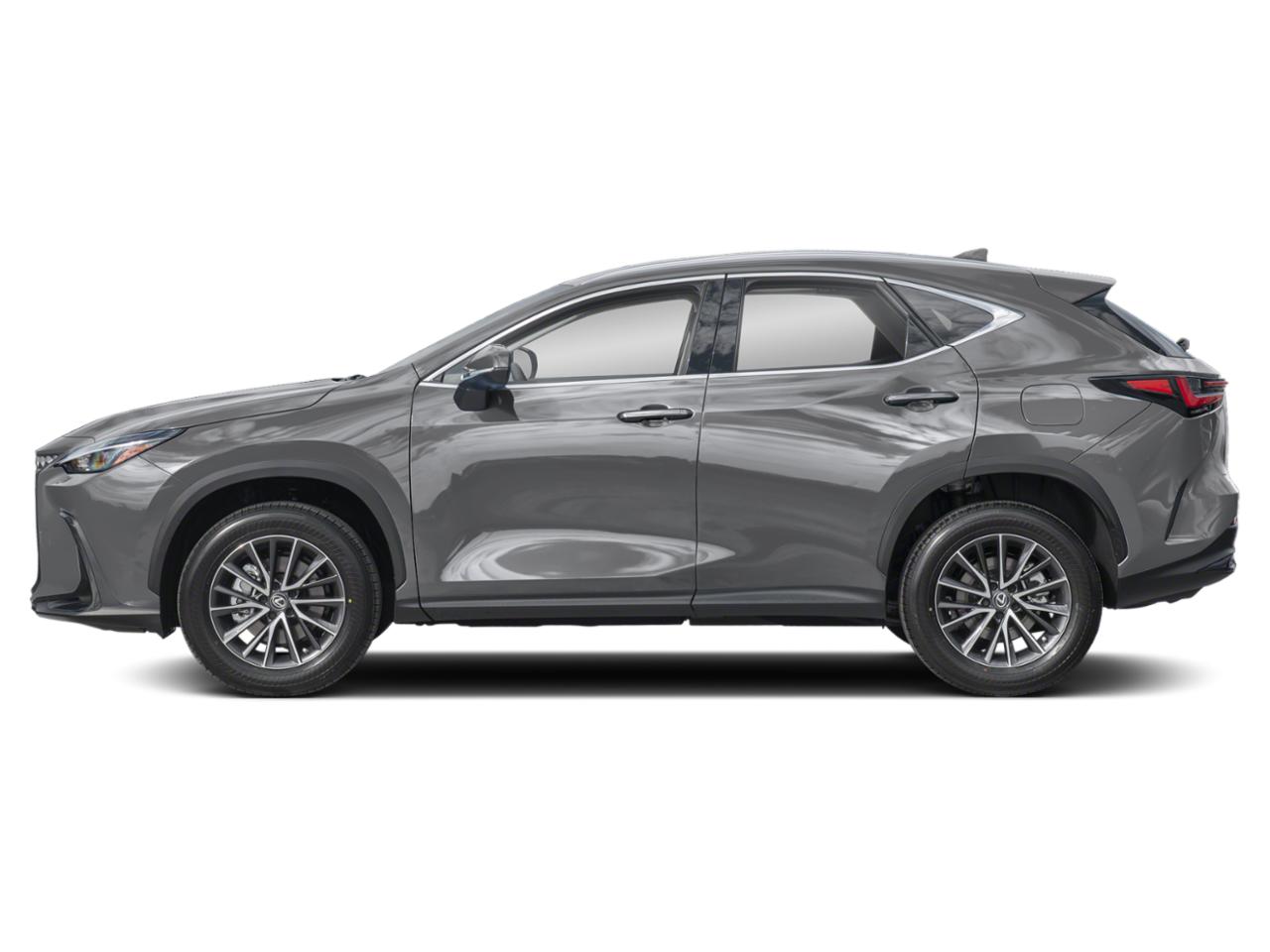 2022 Lexus NX 250 Vehicle Photo in Clearwater, FL 33761