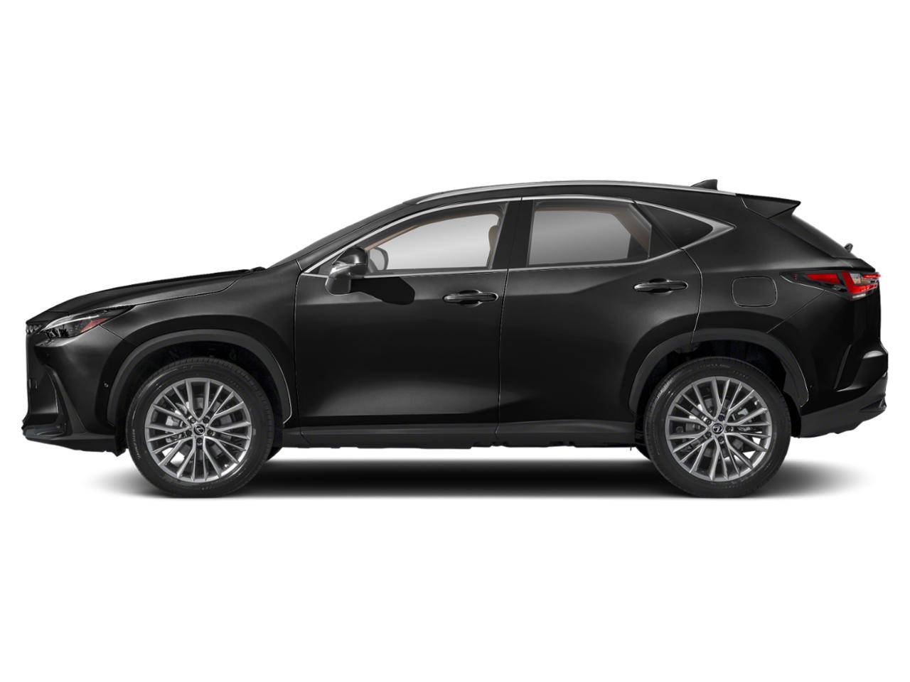 2022 Lexus NX 350h Vehicle Photo in Tampa, FL 33614