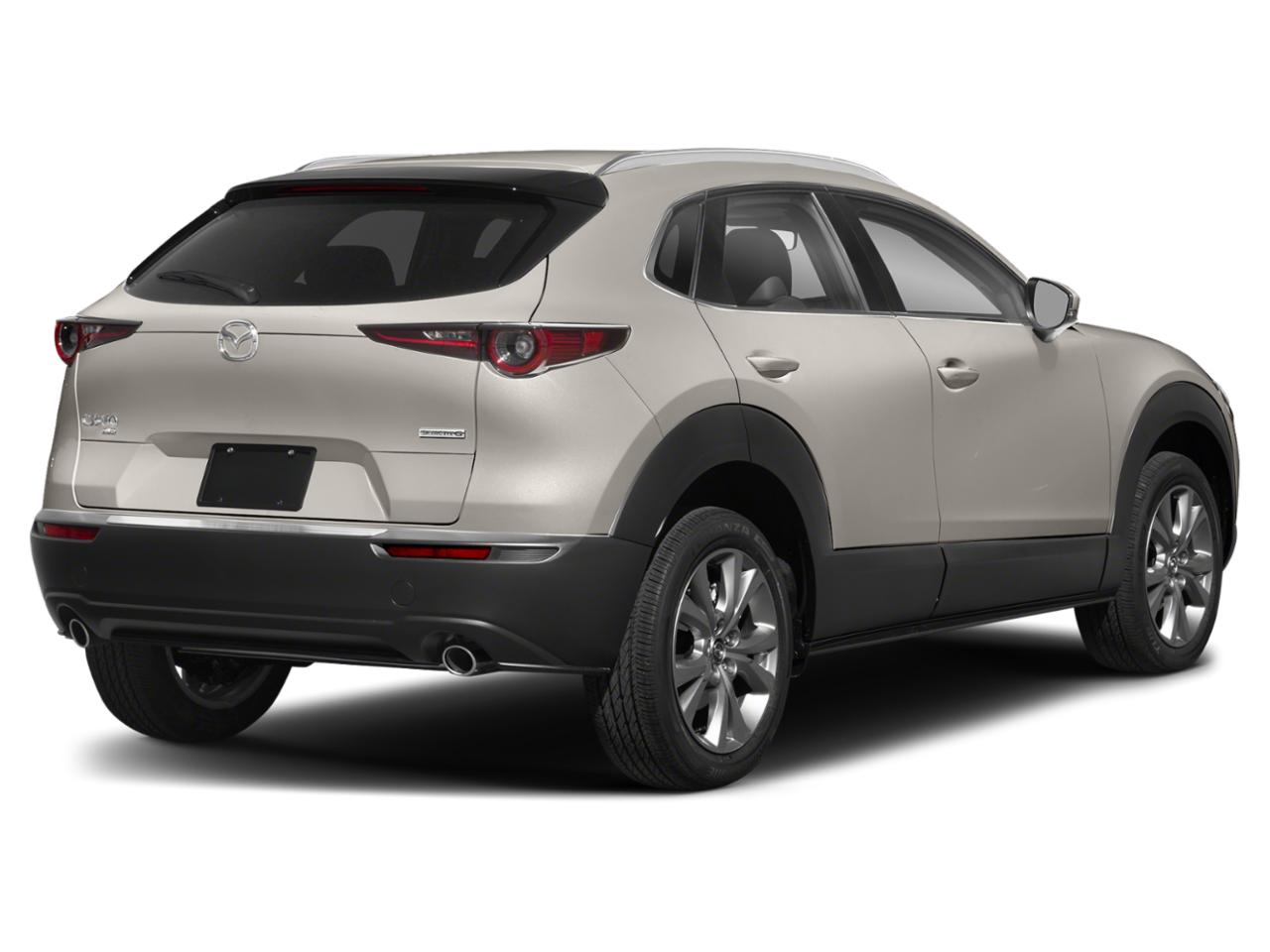 2022 Mazda CX-30 Vehicle Photo in Harrisburg, PA 17111