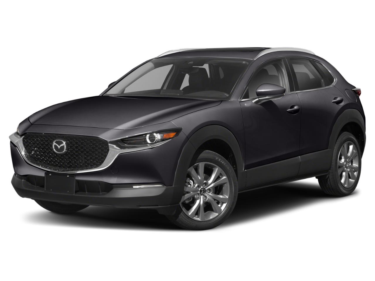 2022 Mazda CX-30 Vehicle Photo in Tampa, FL 33614