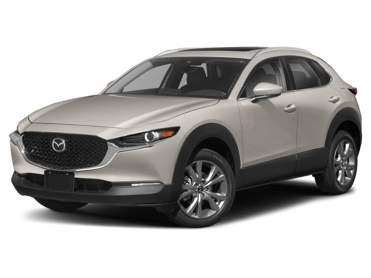 2022 Mazda CX-30 Vehicle Photo in Harrisburg, PA 17111