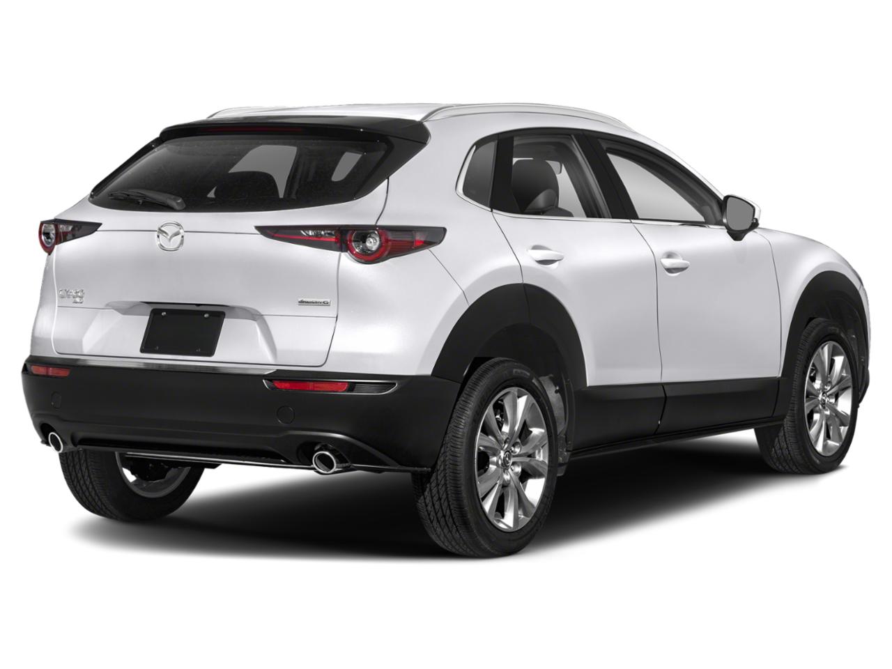 2022 Mazda CX-30 Vehicle Photo in SELMA, TX 78154-1460