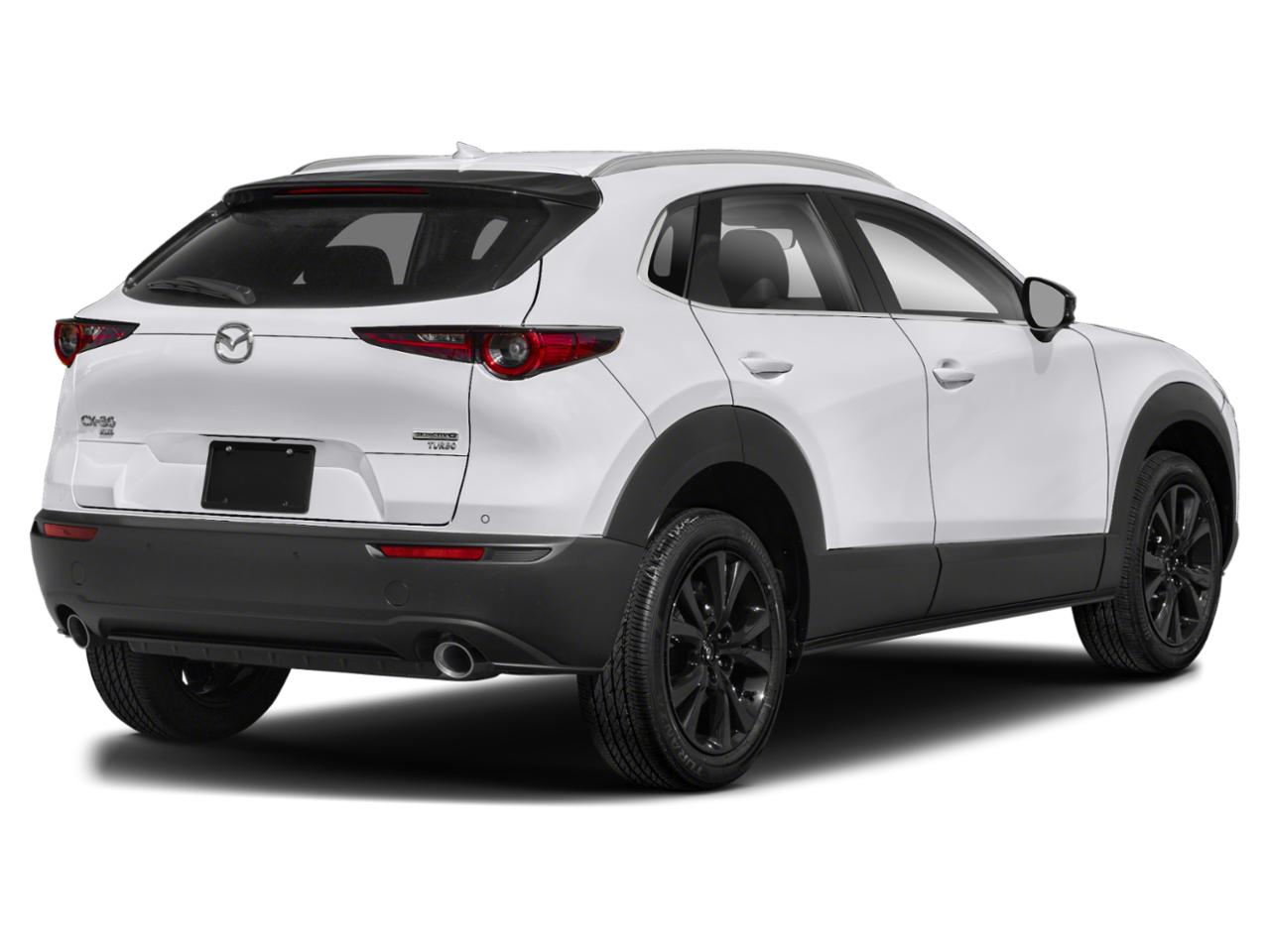 2022 Mazda CX-30 Vehicle Photo in Green Bay, WI 54304