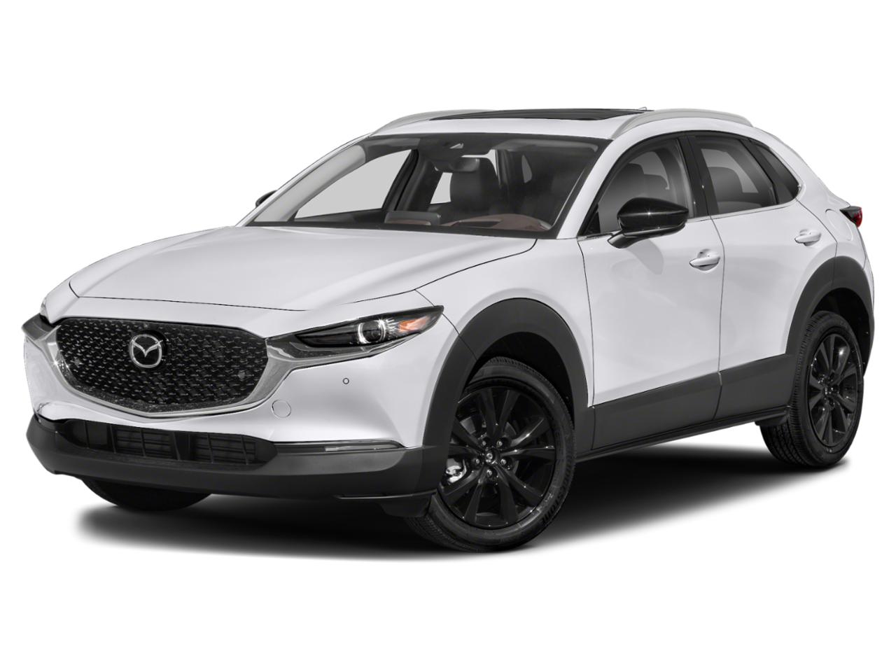2022 Mazda CX-30 Vehicle Photo in Green Bay, WI 54304