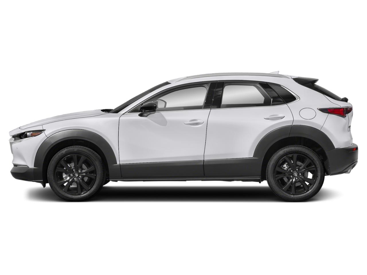 2022 Mazda CX-30 Vehicle Photo in Green Bay, WI 54304