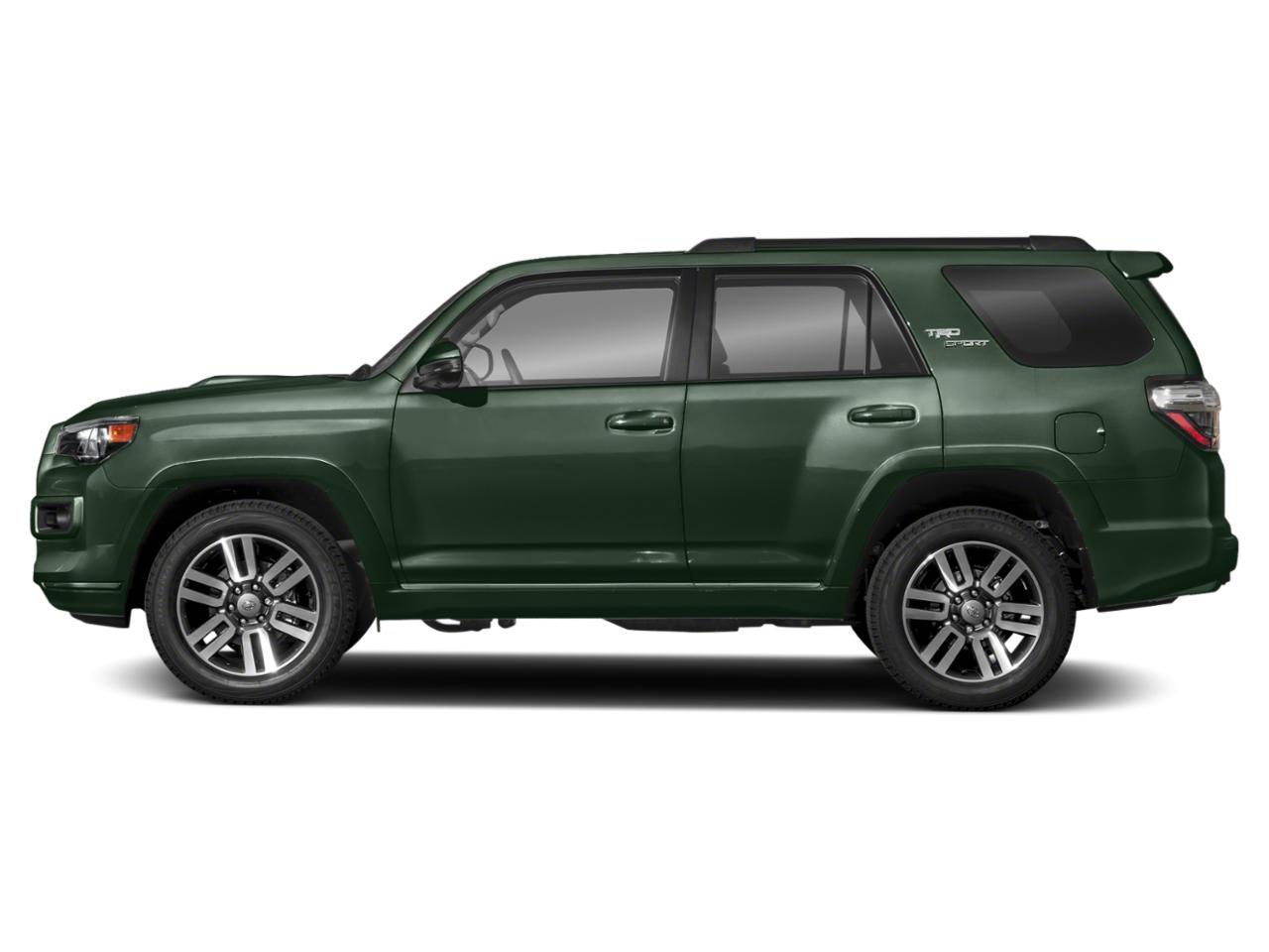 2022 Toyota 4Runner Vehicle Photo in Panama City, FL 32401