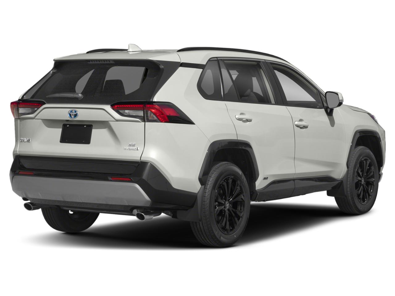 2022 Toyota RAV4 Vehicle Photo in Winter Park, FL 32792