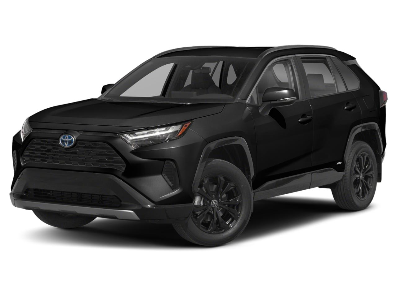 2022 Toyota RAV4 Vehicle Photo in San Antonio, TX 78230