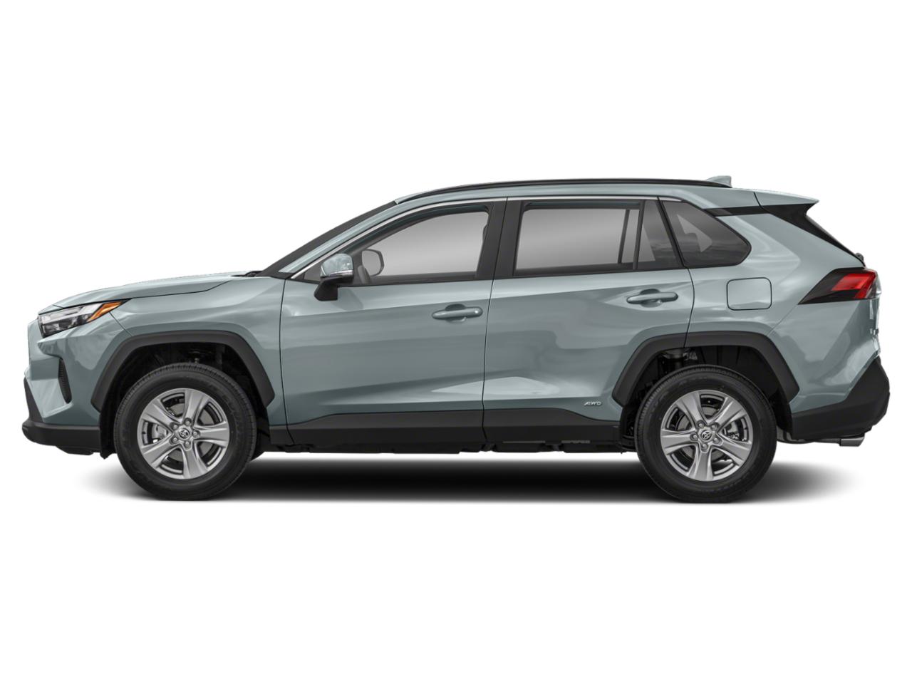 2022 Toyota RAV4 Vehicle Photo in Tampa, FL 33614