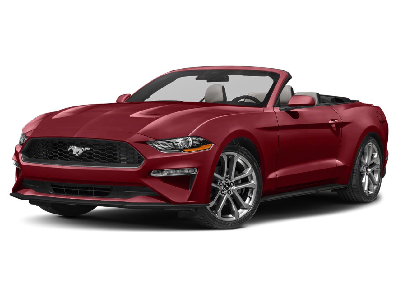 2023 Ford Mustang Vehicle Photo in Miami, FL 33015