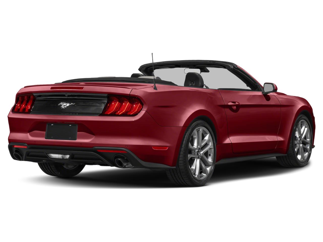 2023 Ford Mustang Vehicle Photo in Miami, FL 33015