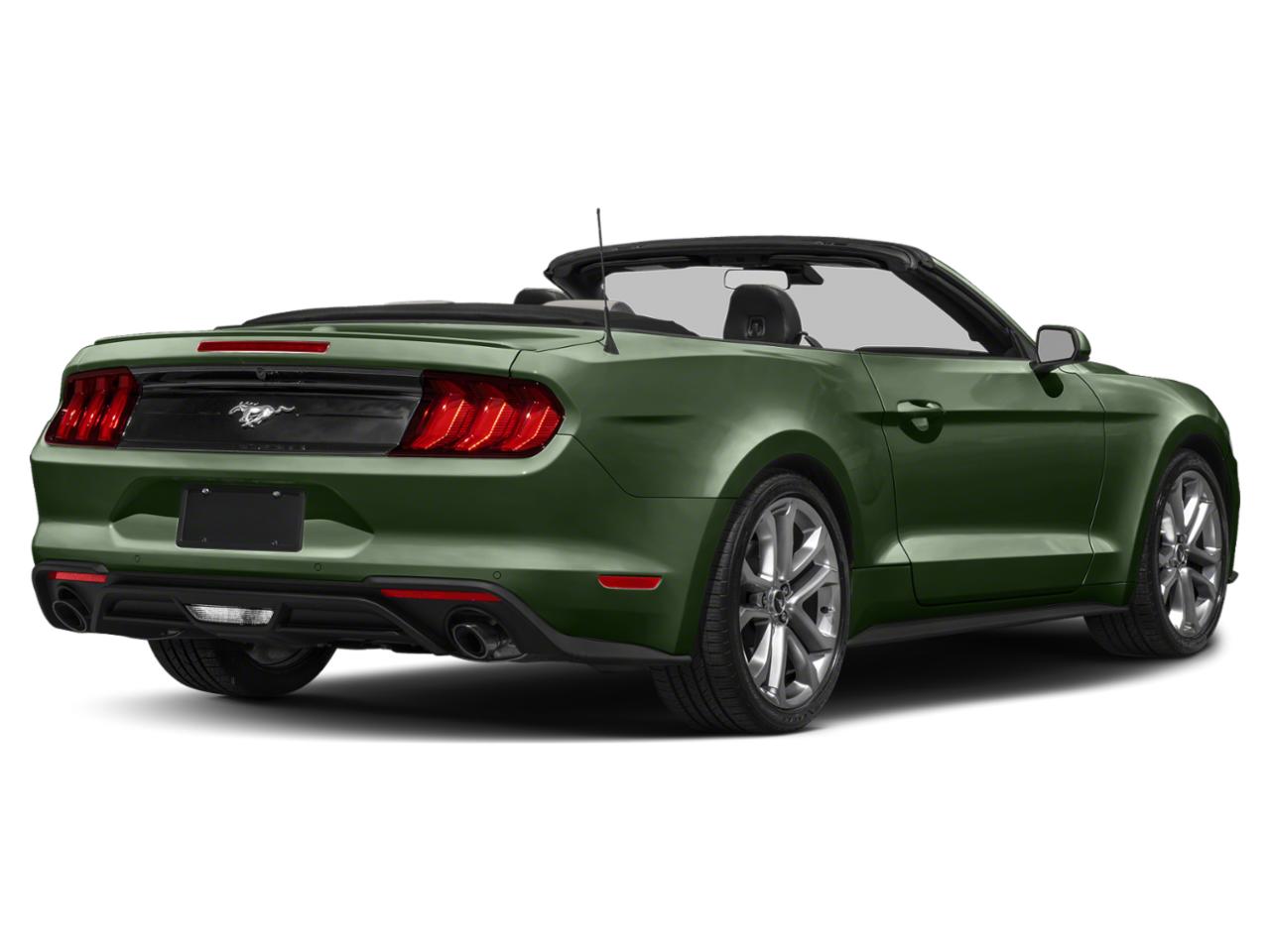 2023 Ford Mustang Vehicle Photo in Savannah, GA 31419