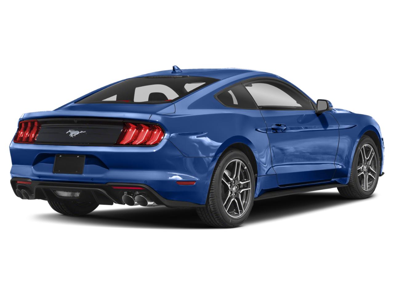 2023 Ford Mustang Vehicle Photo in Easton, PA 18045