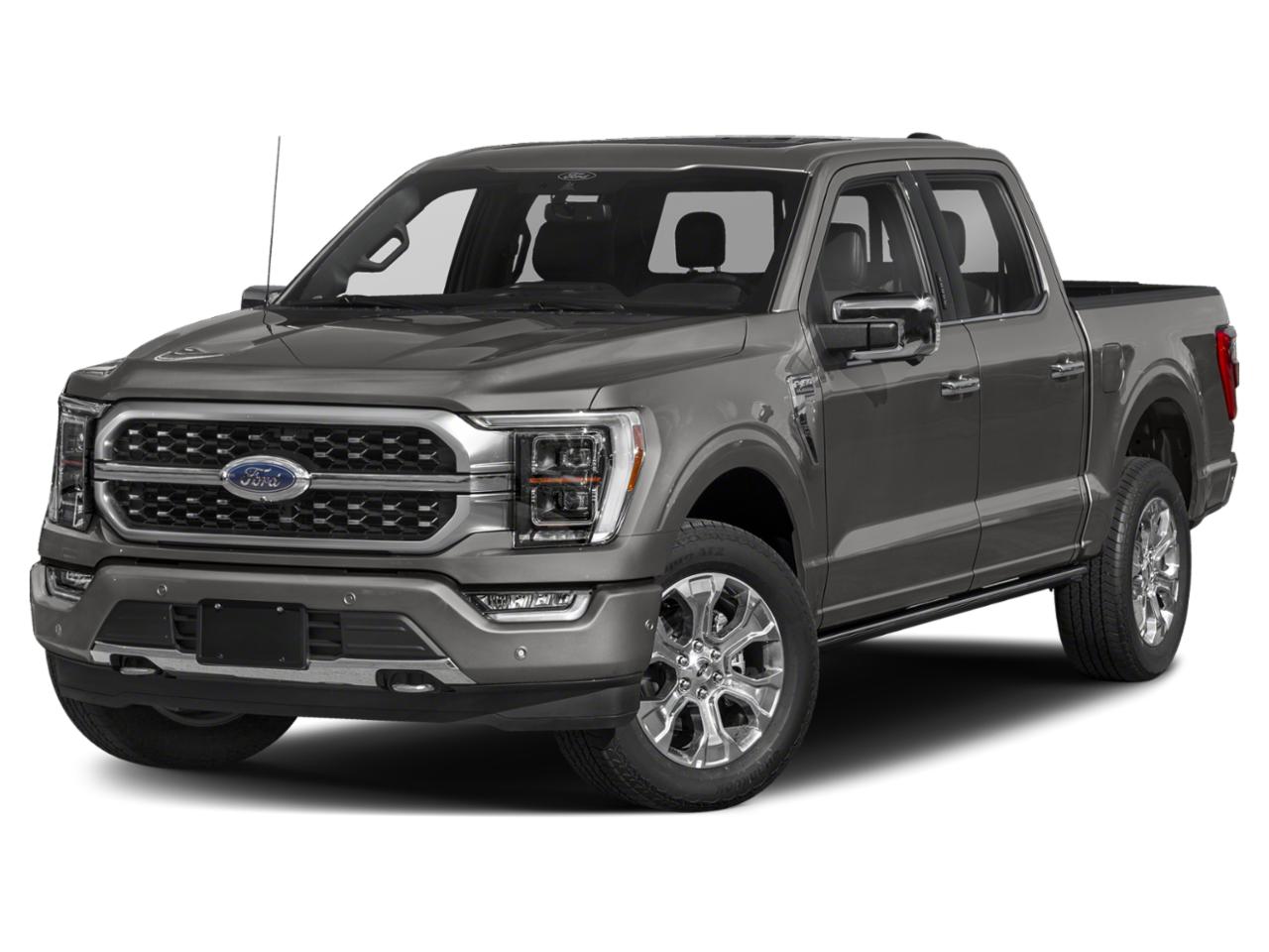 2023 Ford F-150 Vehicle Photo in St. Petersburg, FL 33713