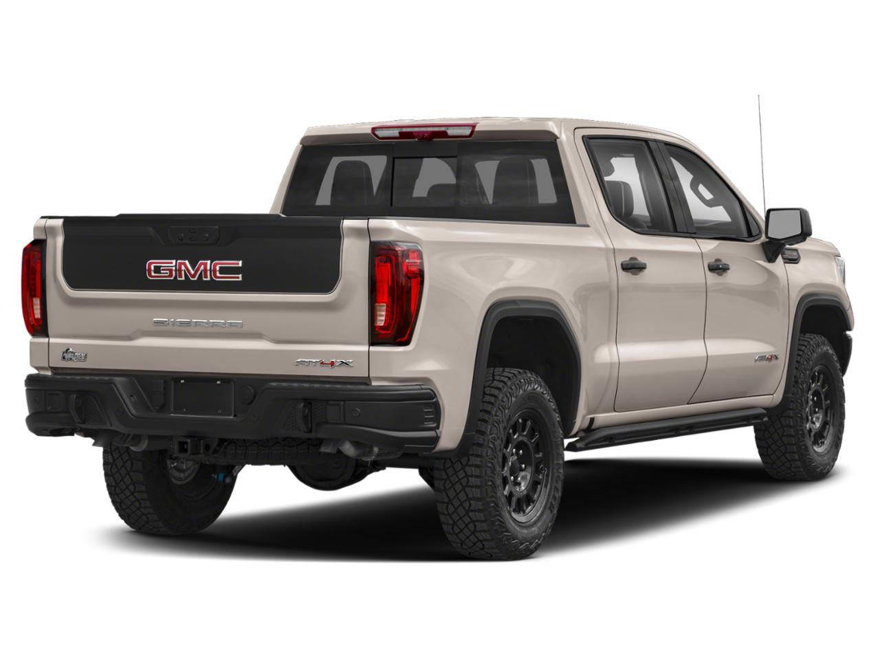 2023 GMC Sierra 1500 Vehicle Photo in SELMA, TX 78154-1459