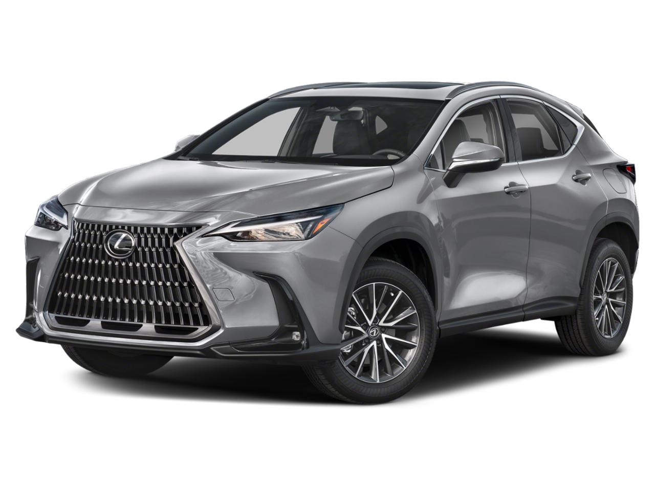 2023 Lexus NX 250 Vehicle Photo in Clearwater, FL 33761