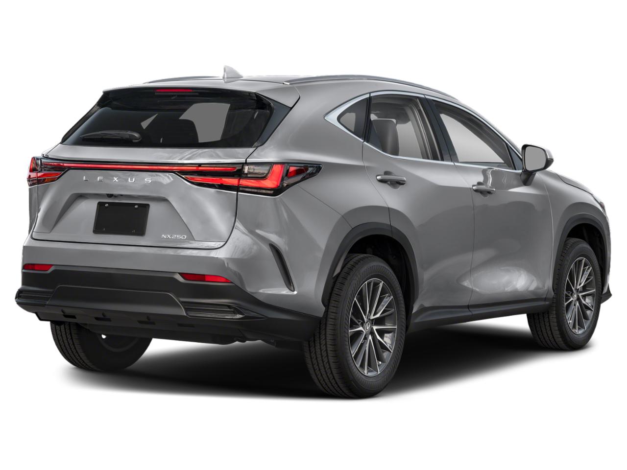 2023 Lexus NX 250 Vehicle Photo in Clearwater, FL 33761