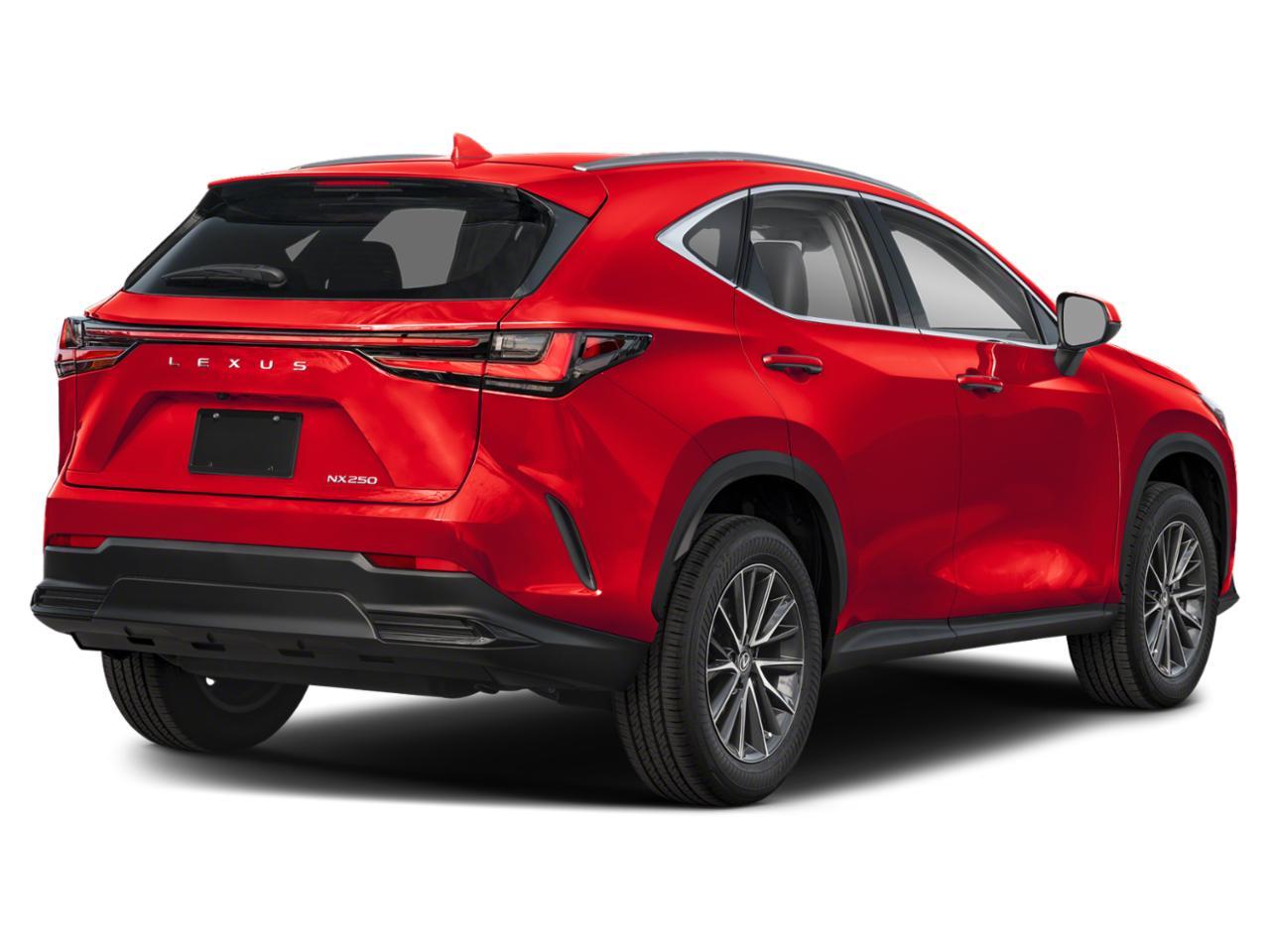 2023 Lexus NX 250 Vehicle Photo in Clearwater, FL 33761