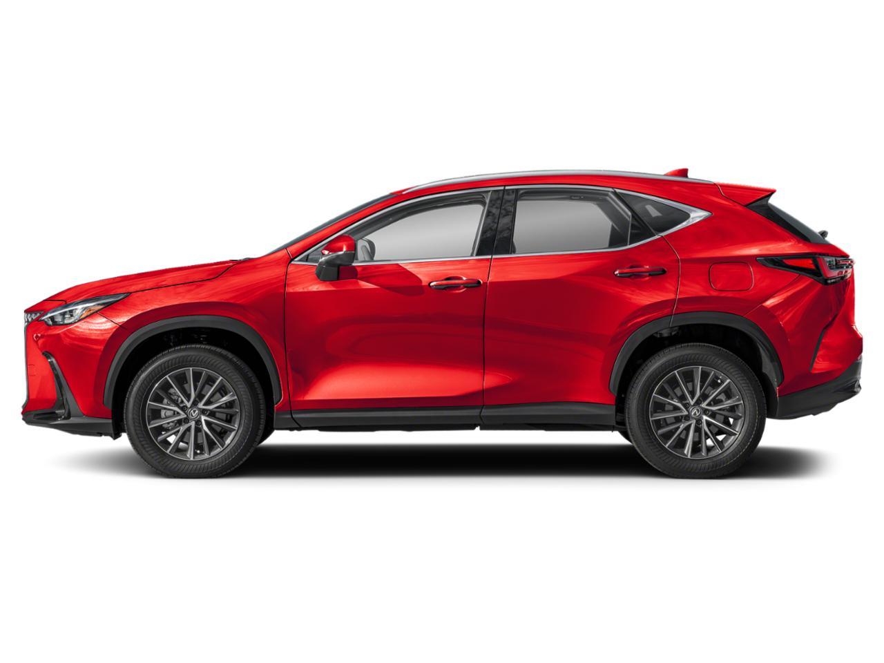 2023 Lexus NX 250 Vehicle Photo in Clearwater, FL 33761