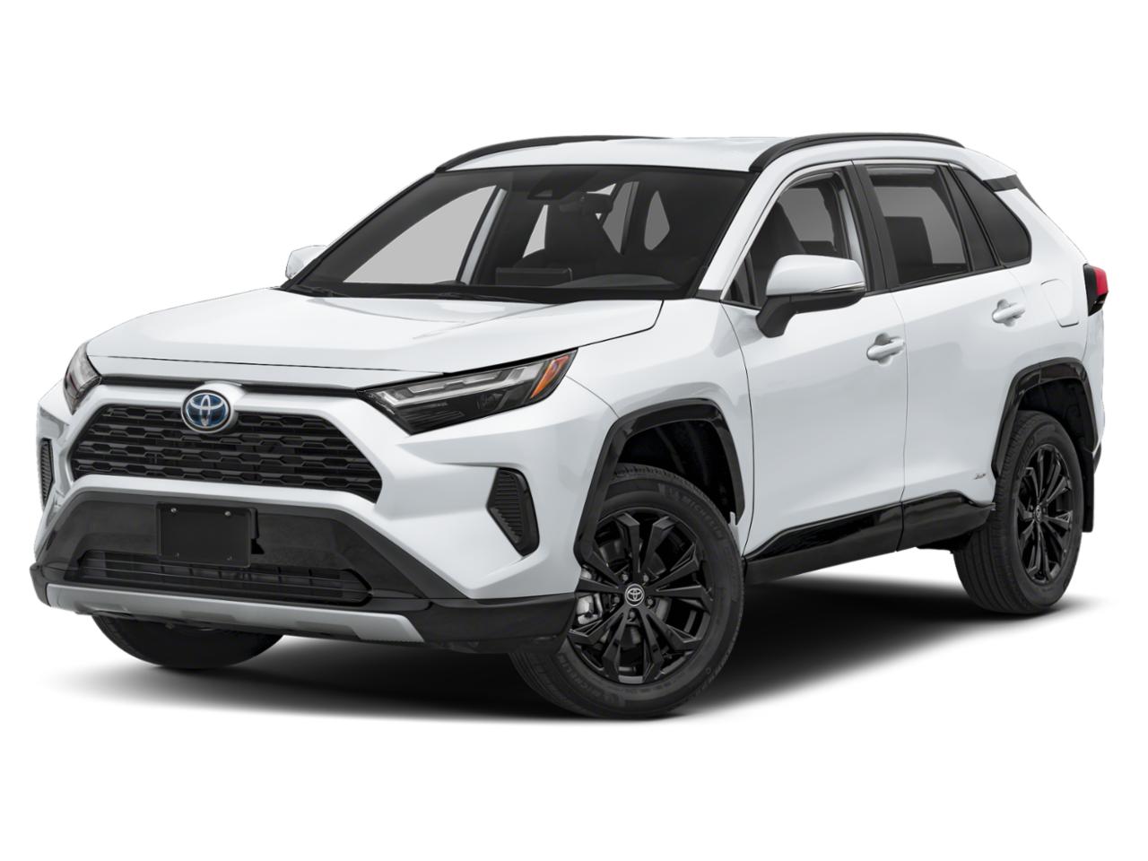 2023 Toyota RAV4 Vehicle Photo in Winter Park, FL 32792