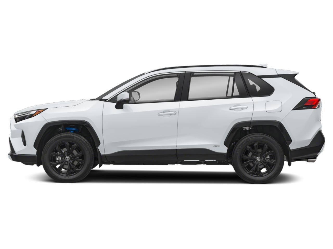 2023 Toyota RAV4 Vehicle Photo in Winter Park, FL 32792