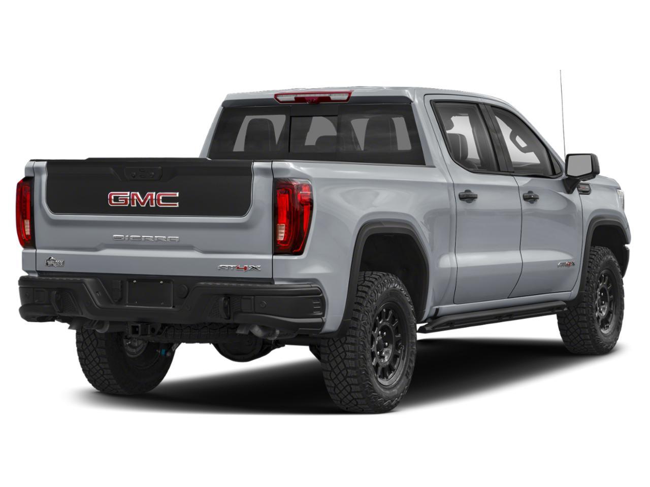 2024 GMC Sierra 1500 Vehicle Photo in SELMA, TX 78154-1459