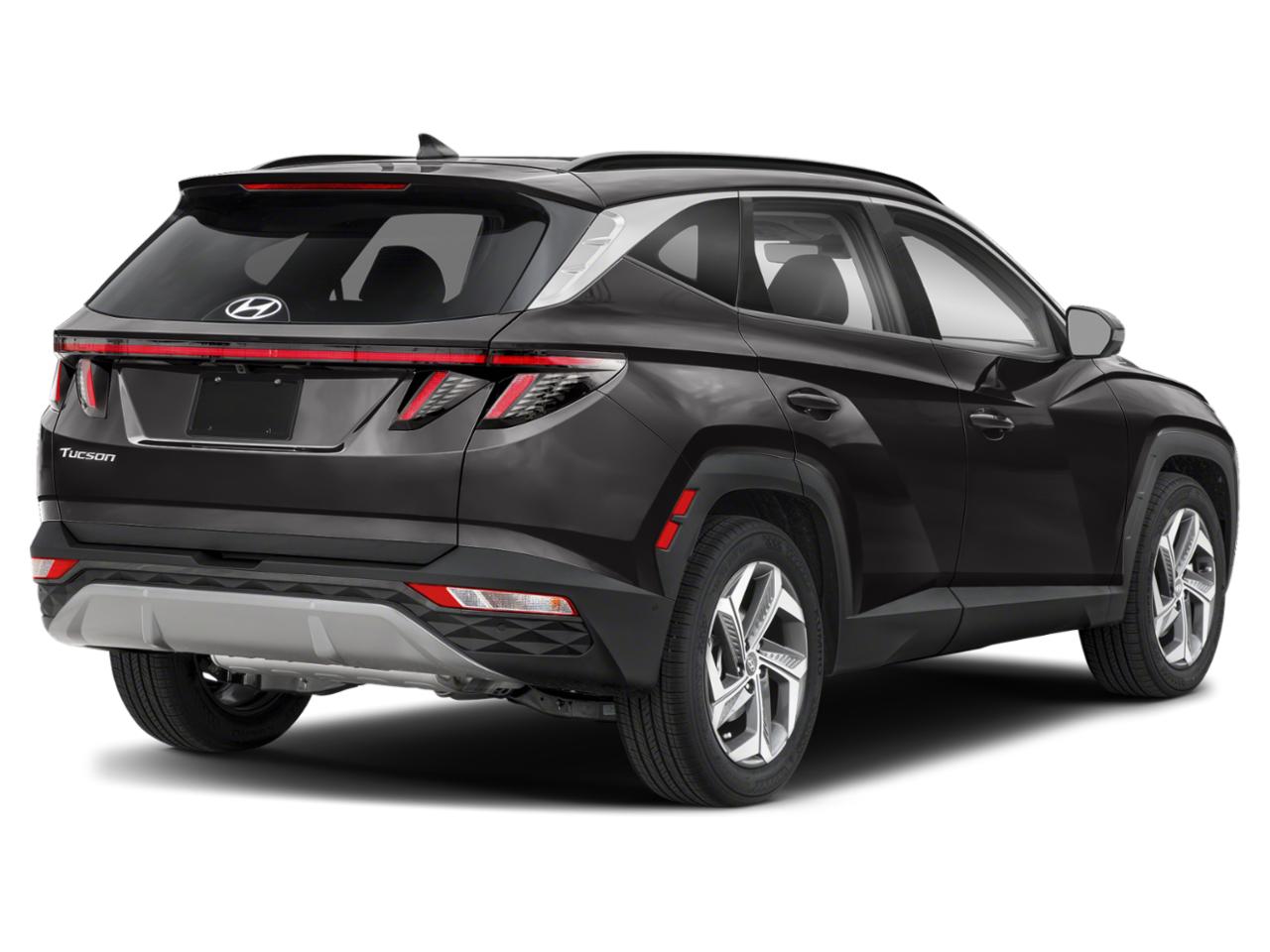 2024 Hyundai TUCSON Vehicle Photo in SAVANNAH, GA 31406-4513