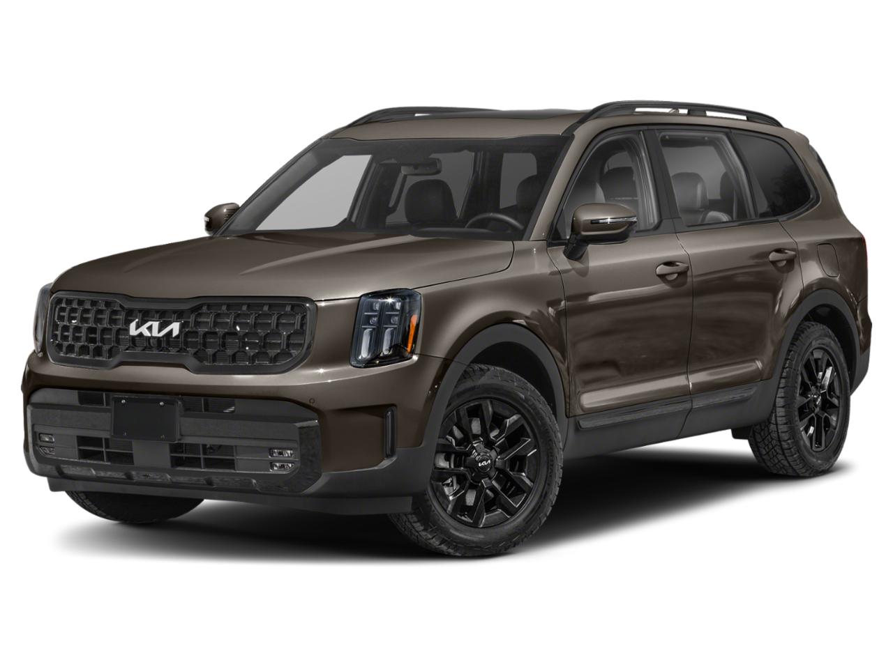 2024 Kia Telluride Vehicle Photo in AMARILLO, TX 79106-1809