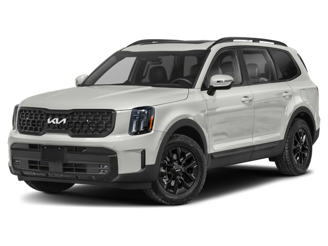 2024 Kia Telluride Vehicle Photo in Bradenton, FL 34207