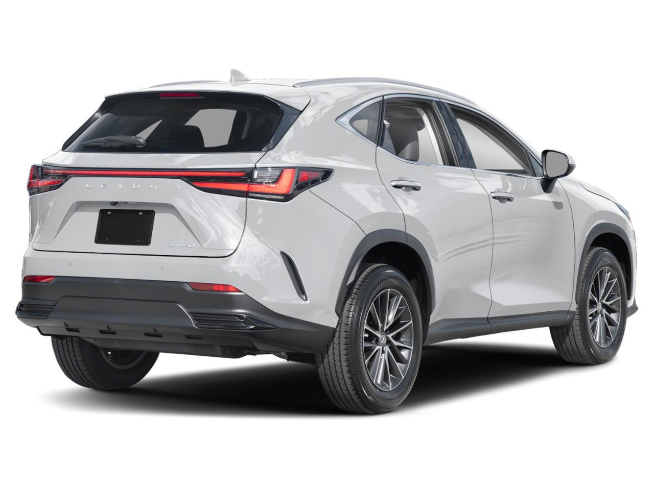 2024 Lexus NX 250 Vehicle Photo in Clearwater, FL 33761
